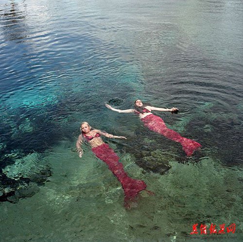  摄影师拍“美人鱼”神秘水下生活 