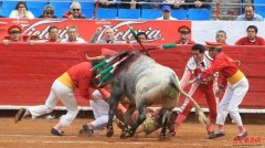  墨西哥斗牛赛现意外 女斗牛士被公牛顶飞 