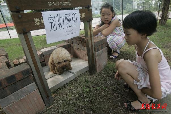 杨家坪直港大道一居民小区为了小区的环境卫生,特别设立了"宠物厕所"