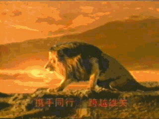 您是否还记得上世纪80年代,一头威风凛凛的雄狮,一声霸气威武的狮吼