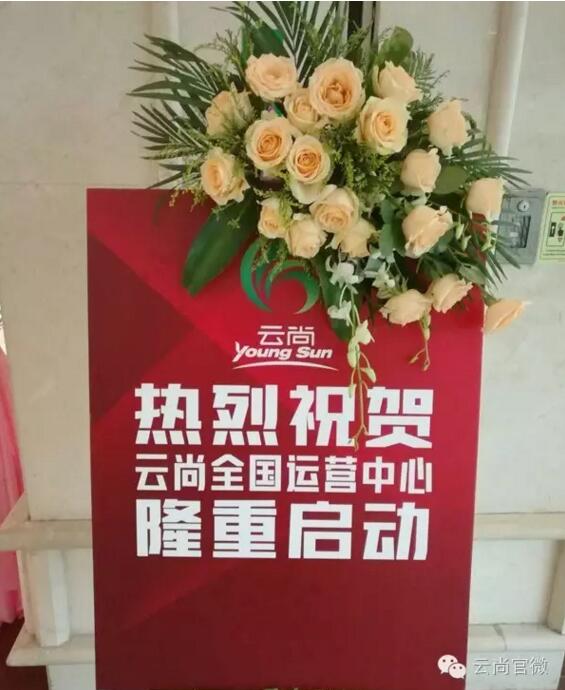 直销专业网,云尚,