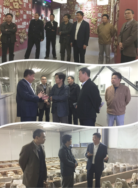 直销专业网,陈惠,南通日报,康贻华,安惠园
