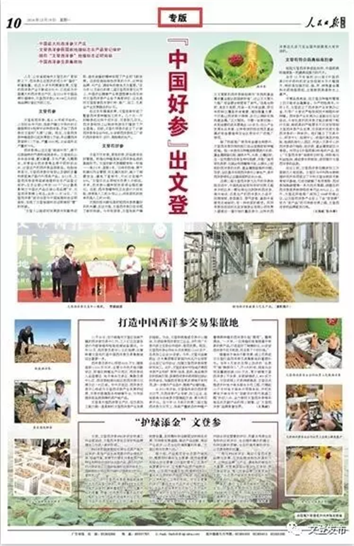 金颐阳深耕大健康领域 瞄准西洋参蓝海