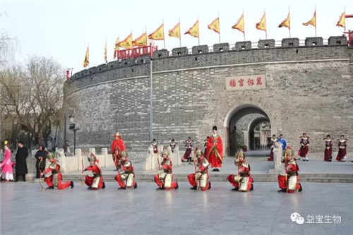 丁酉年益宝国际祭孔大典圆满礼成