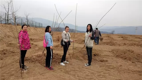 三八妇乐绿色行动 共建美丽家园