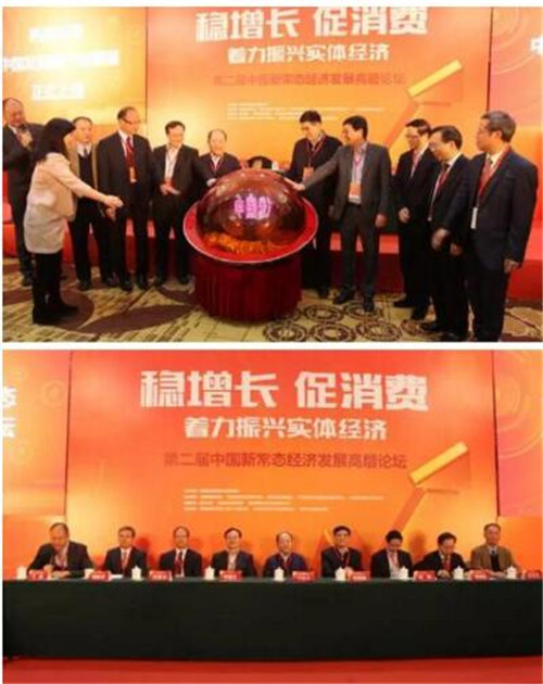 绿之韵董事长胡国安获年度人物