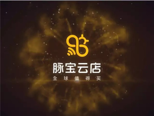 中脉携手脉道网络强势布局社交电商，脉宝云店正式上线