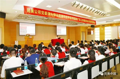 学习贯彻党代会报告 广东省委宣讲团走进完美公司