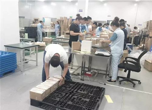 热情、热心、热爱——双迪到底有多“热”？