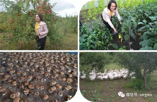 荣格孙总受邀考察黑龙江宝清富硒大豆、大米及灵芝基地