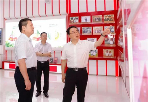 国家工商总局竞争执法局杨红灿局长一行莅临理想，开展打传规直工作督查