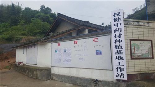 抓源头提质量，权健药材基地建设如火如荼