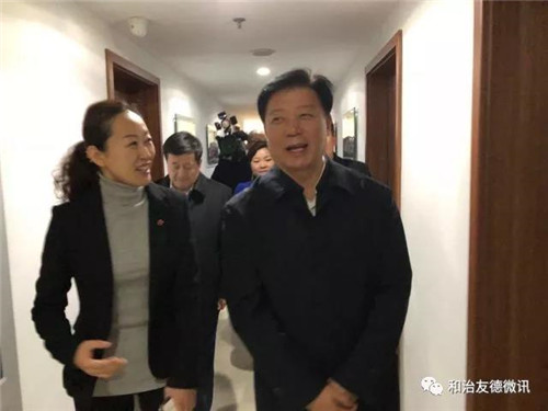  天津市副市长携区委领导莅临和治友德参观指导