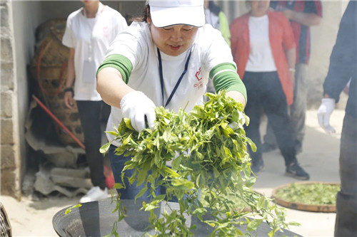 理想科技创业精英千年茶乡探秘之旅·第二季盛大起航