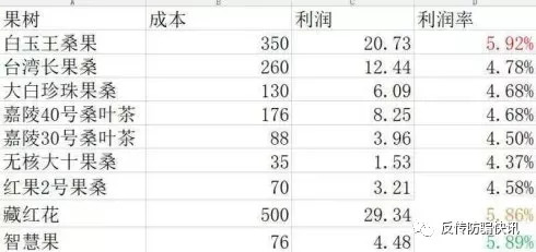 20541aS5-3.jpg