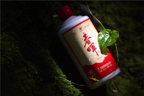 理想科技震撼首发丨2018杨林肥酒形象宣传片：为您讲述130多年的中华老字号传奇