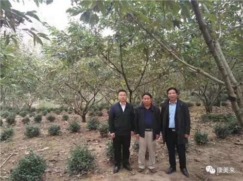 康美来余春富董事长视察云湶谷大别山土鸡养殖场