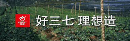 开启三七服用新时代——理想·龙发三七鲜植臻萃液，今天抢鲜上市