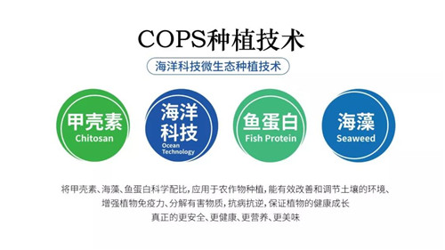 康尔生物深耕海洋，助力国家蓝色经济跨越