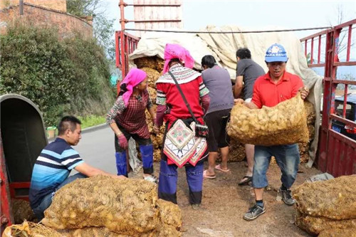 云南省委副书记王予波莅临元阳梯田云视察指导，助力云品出滇