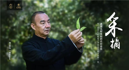 寻茗记丨一杯龙润红茶的自然密码和历史传奇