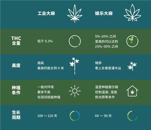 人大代表焦家良专项实地调研，编写了《关于加大昆明市工业大麻产业发展的建议》的议案
