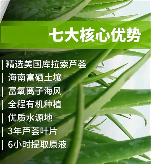 荟生：精细化管理和原生态有机种植为金芦荟产品的金品质打下坚实基础