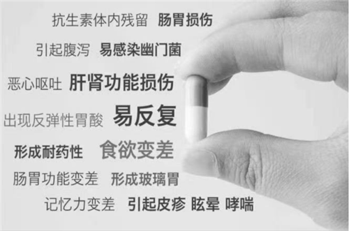 改善传统弊端！三生东方素养幽珞清益生菌粉的精准卡位战