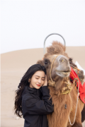 Angelababy现身沙漠与骆驼贴贴 长卷发造型妆容精致
